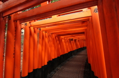 千本鳥居