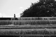 夏の光景