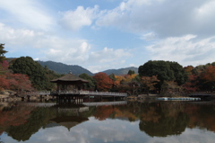 風情