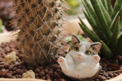 植木鉢の番長
