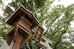 その社の名はなんぞや？