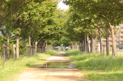 子供視点