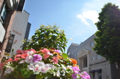 初夏の元町