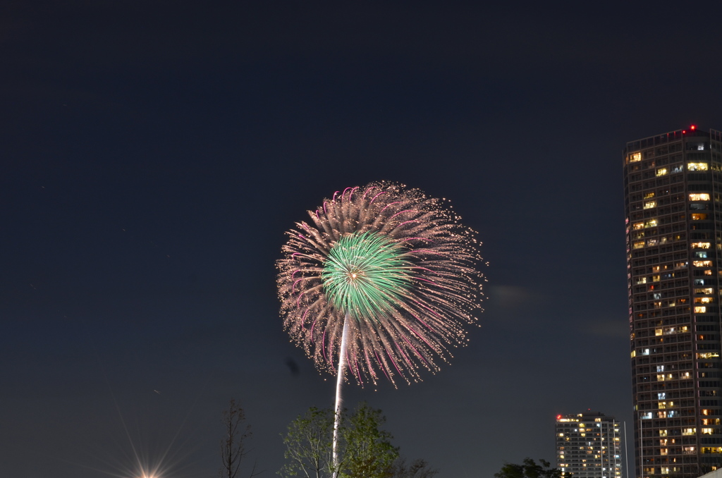 二子多摩川花火１