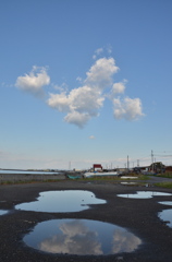 雨上がりの朝