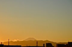 多摩川からの富士山