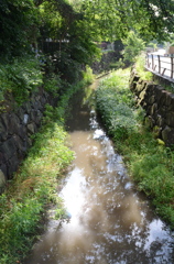 雨上がりの丸子川