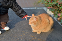 タッチ