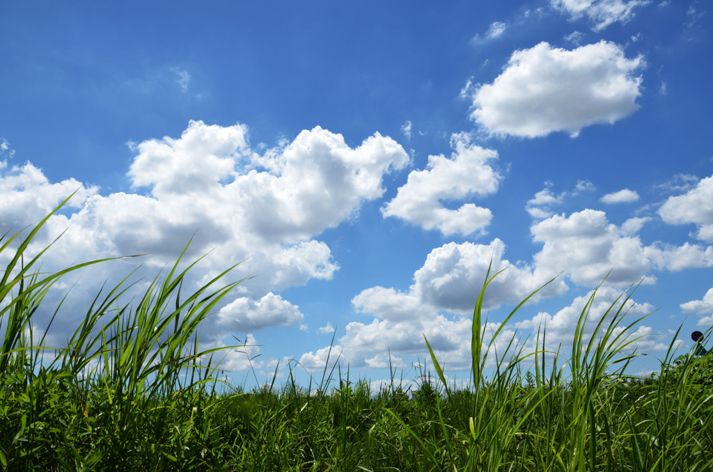 夏の青空