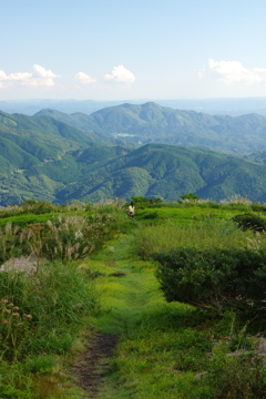 1200mの草原