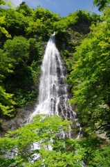 天瀧④