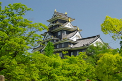 岡山城