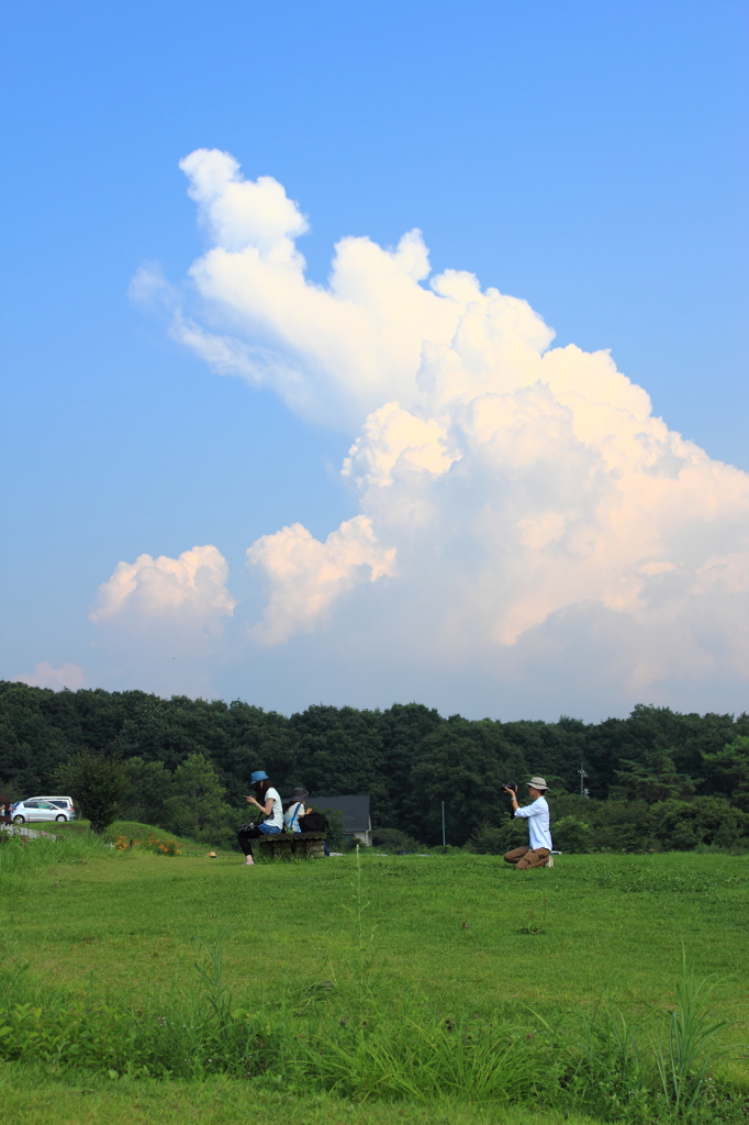 横から