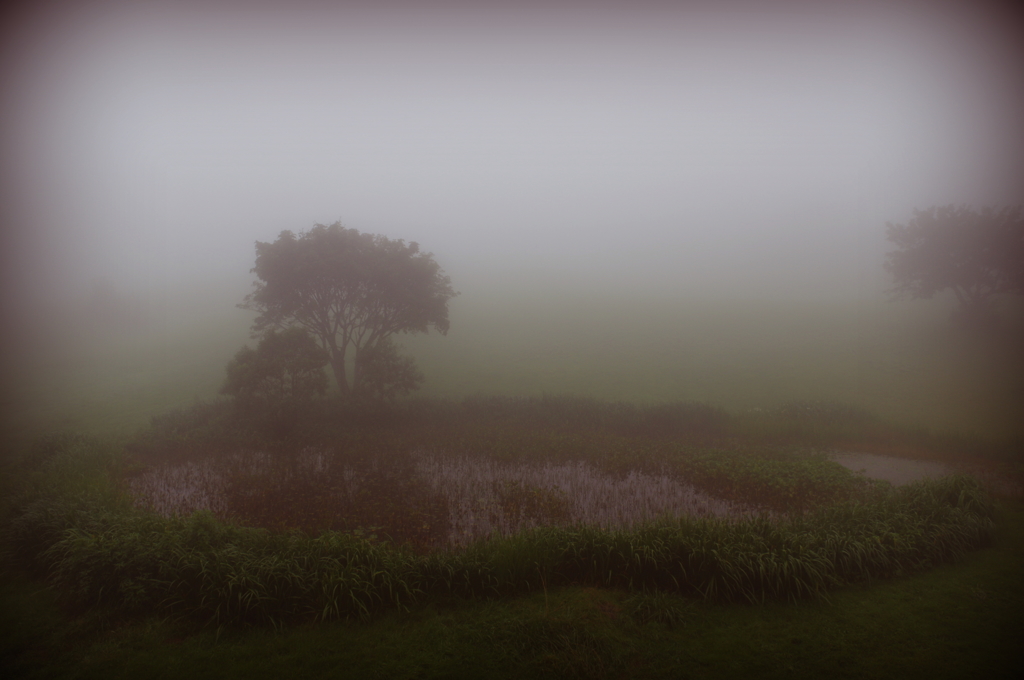 霧の吾妻山