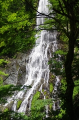 天瀧③