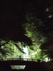 その先の光