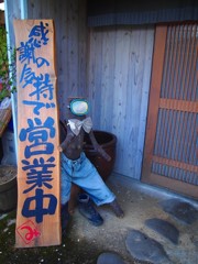 樹木がイカしてヘイヘイヘイ