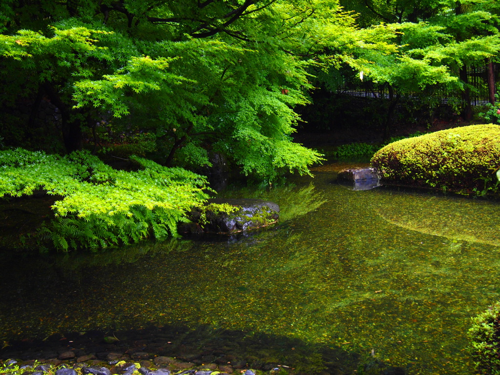 サントリー山崎の庭