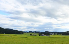 実りの田園詩～みずほの里ロード～