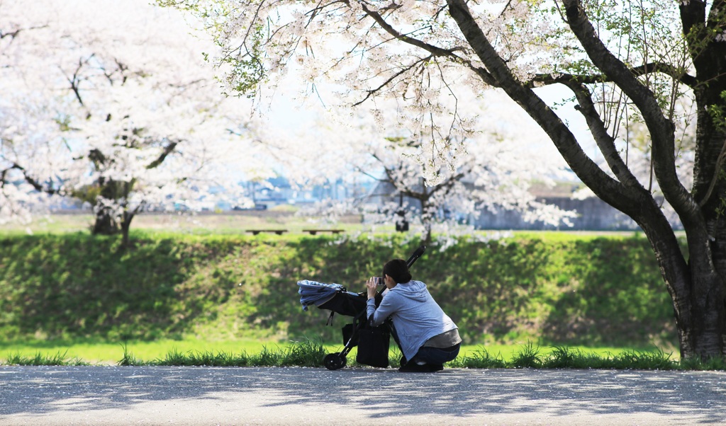 桜の木の下で♪