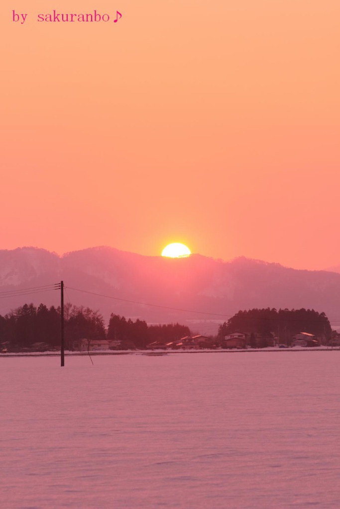 ピンクの夕日