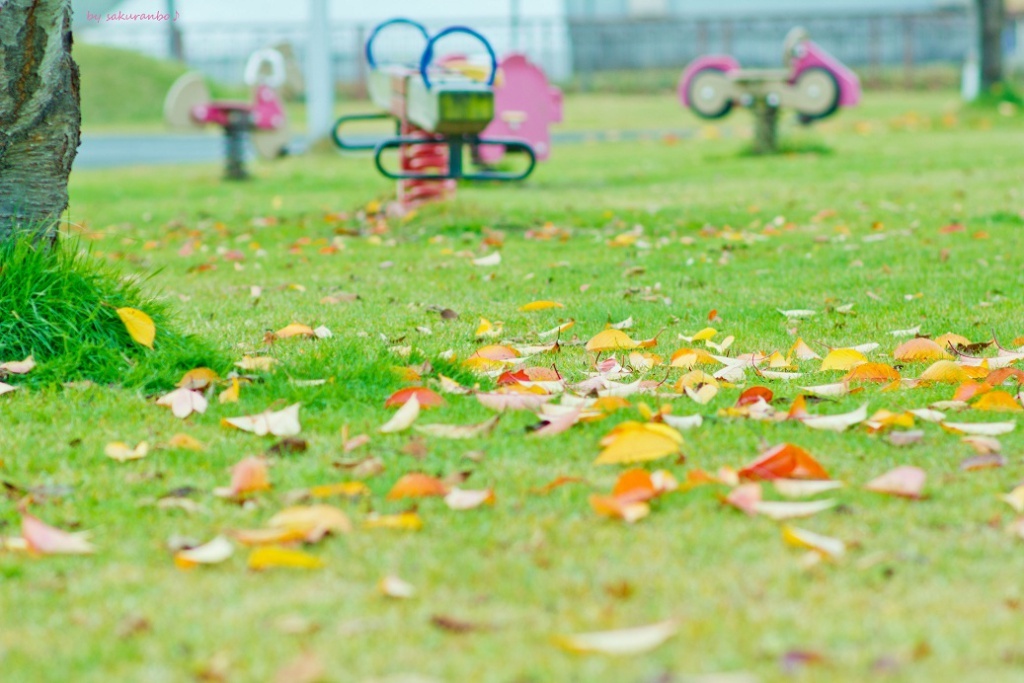 ピンクの遊具と桜紅葉
