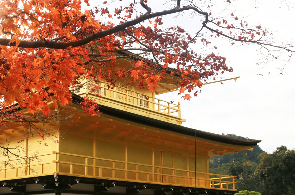 金閣寺～2014晩秋～