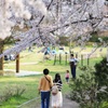 春の散歩道