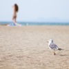 僕も海に連れて行って♪