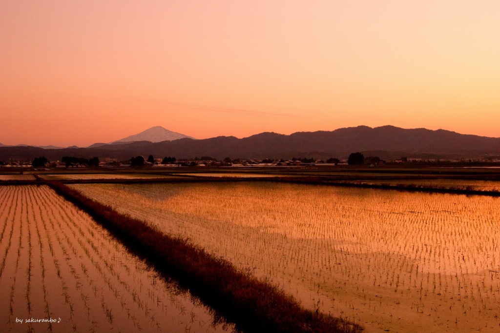 たそがれる田園風景