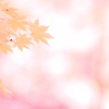 桜ほのか