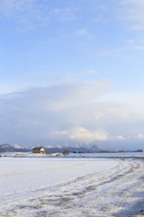 春に向かう雪原