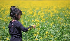 菜の花摘んで♪