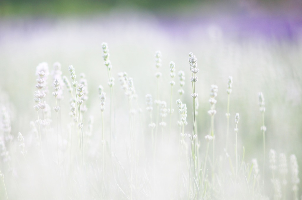 雪花