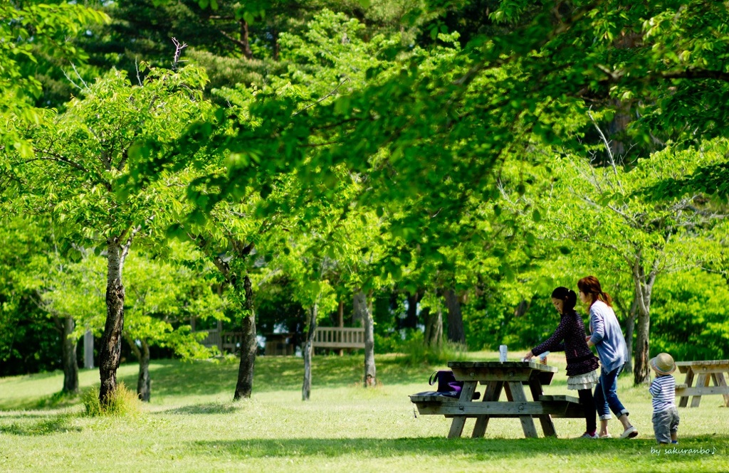 お茶の時間