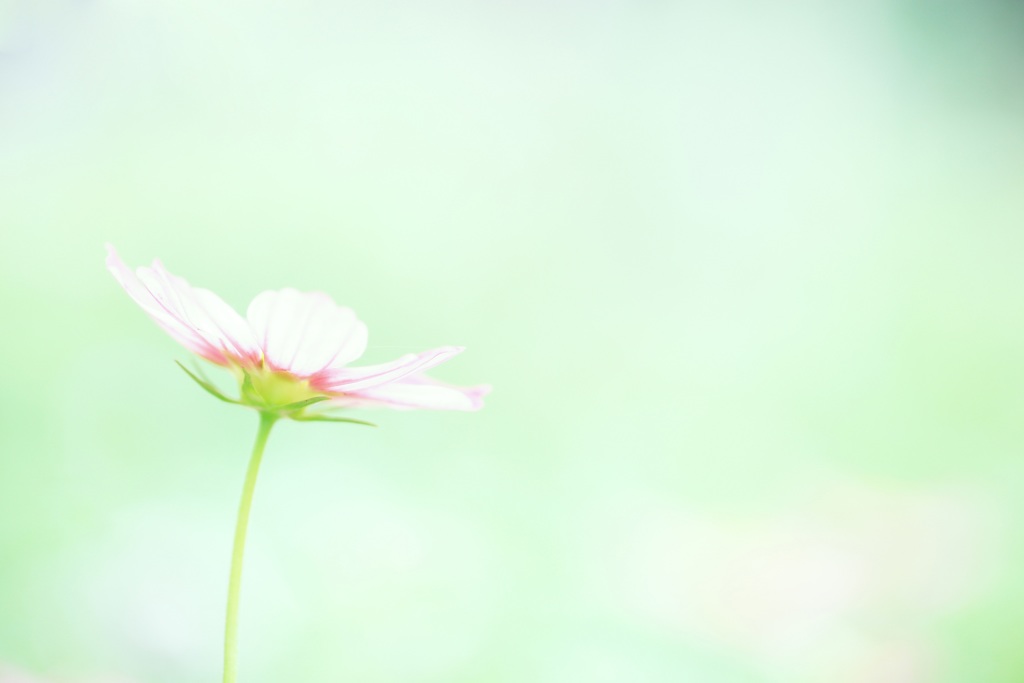 breathing ～はじまり～