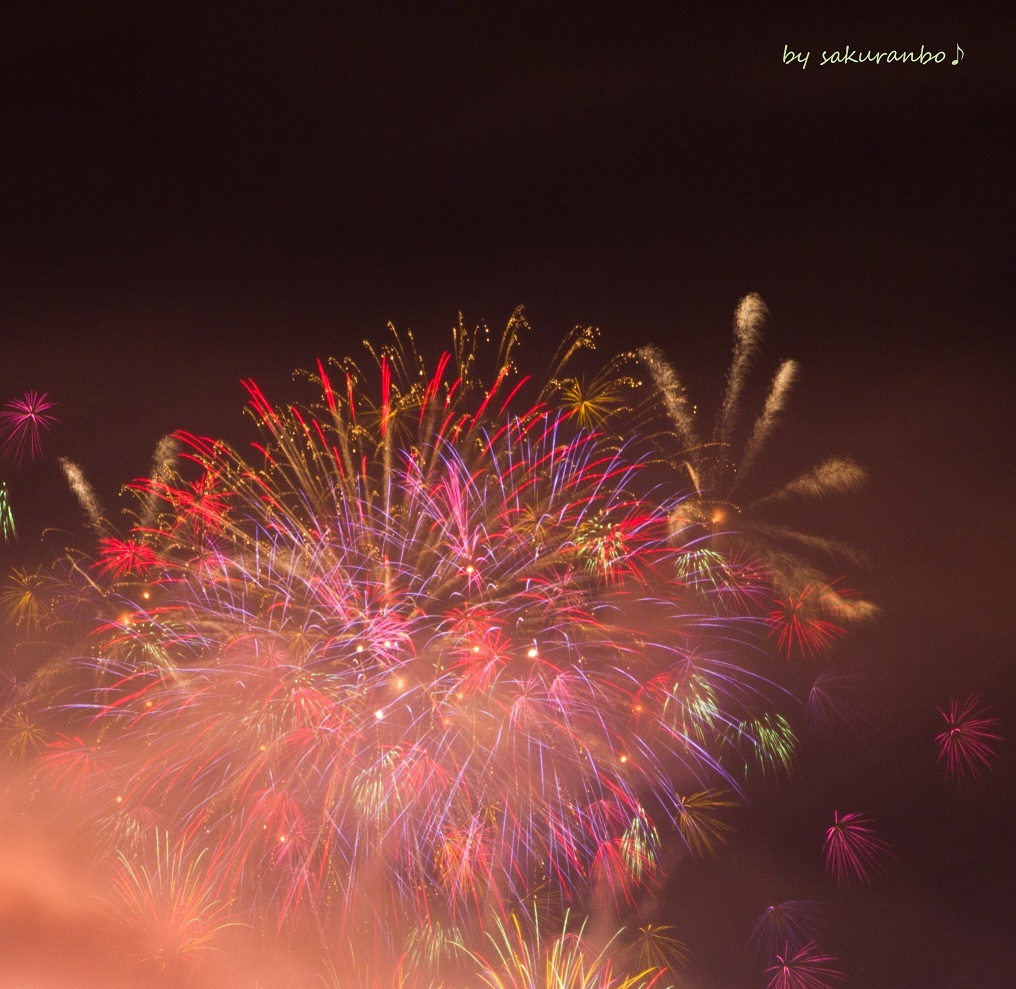 夜空の小さな花畑