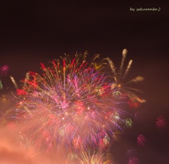 夜空の小さな花畑