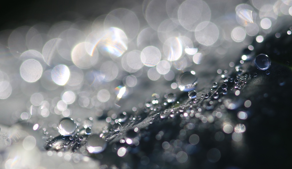 10月のdiamonds☆