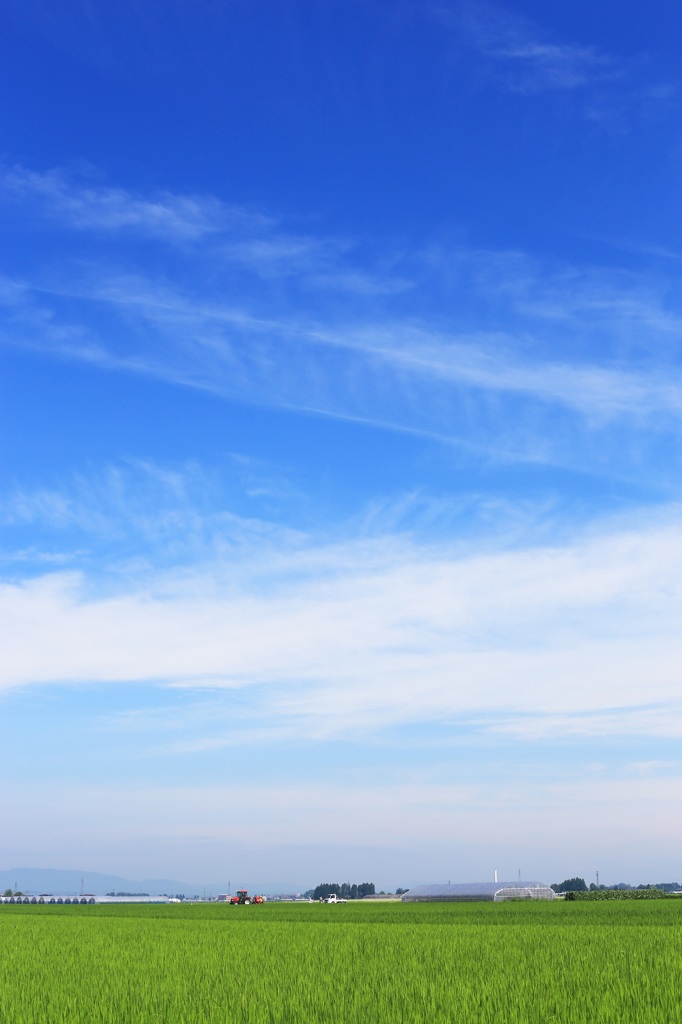 お～い、空