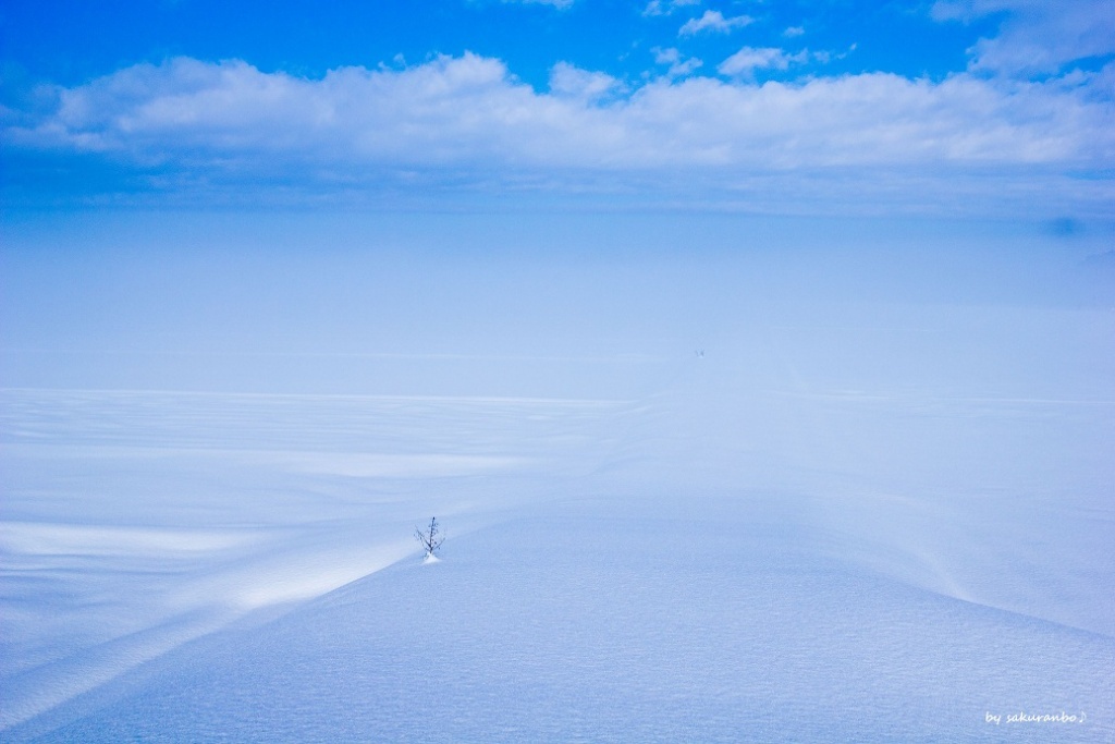 はるかな雪原