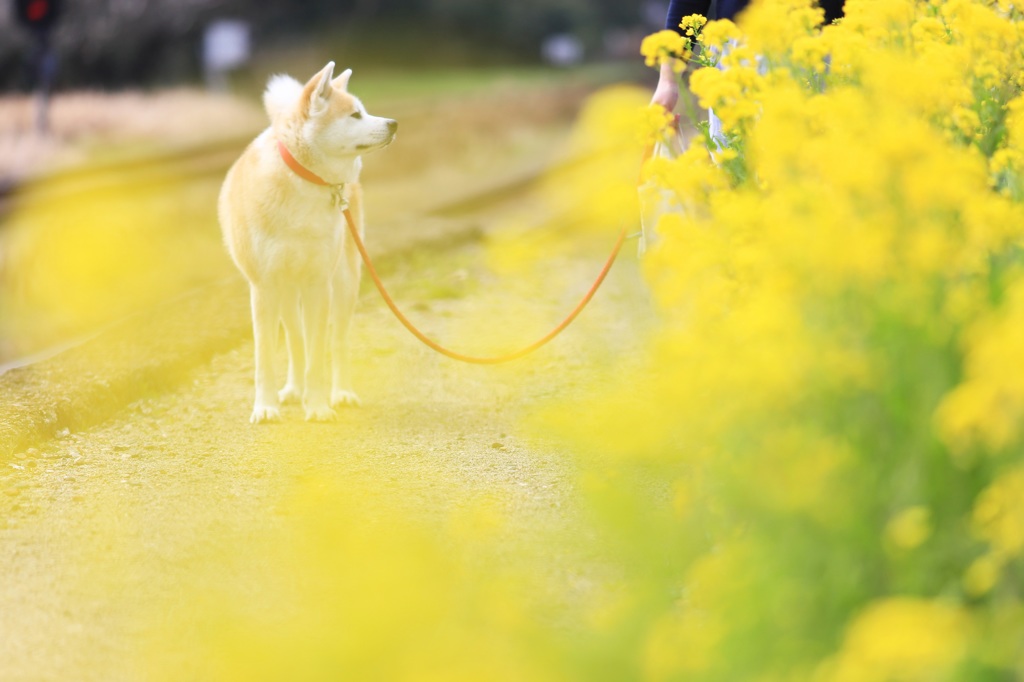 ぽっかぽかだ、ワン♪