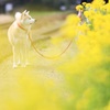 ぽっかぽかだ、ワン♪