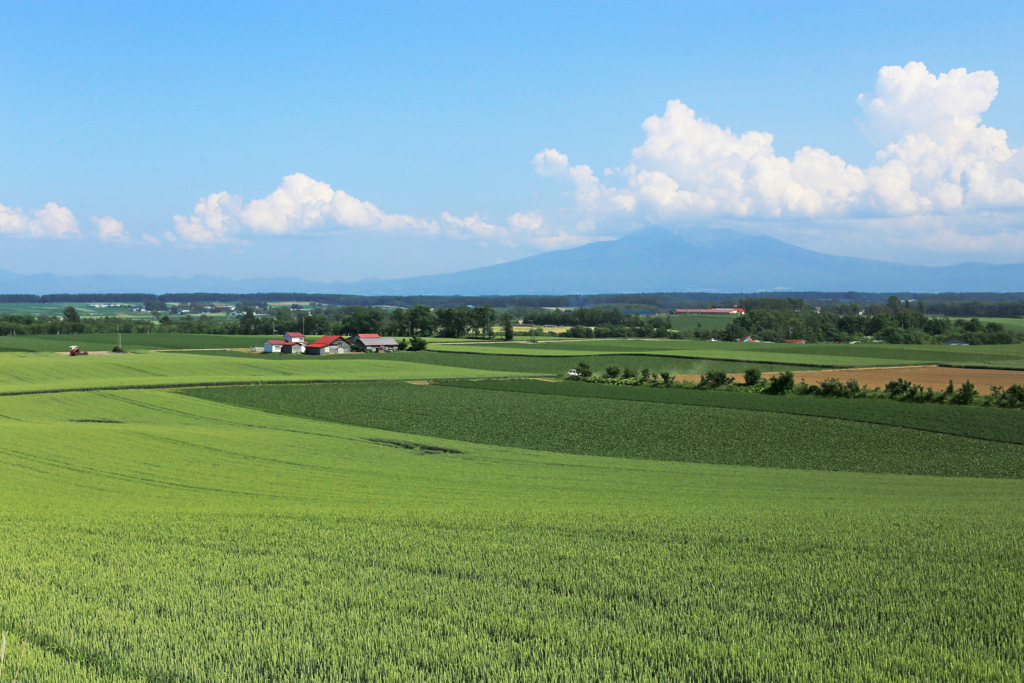 お～い、北海道！