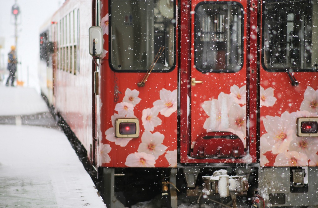 吹雪の桜～秋田内陸縦貫鉄道～