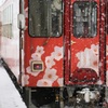吹雪の桜～秋田内陸縦貫鉄道～