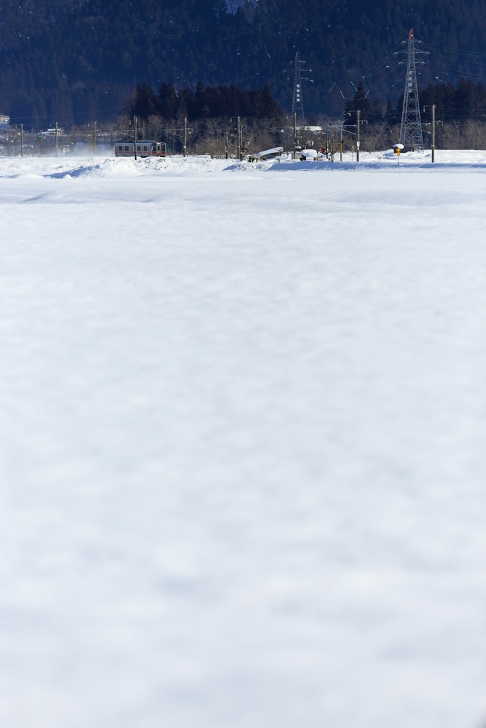 雪原の小さな電車