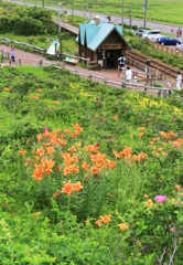 可愛い駅舎～花園に囲まれて～