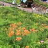 可愛い駅舎～花園に囲まれて～
