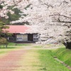 農場に春が来て